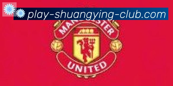 双赢彩票入口合作伙伴